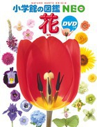 wق̐}NEO   DVD