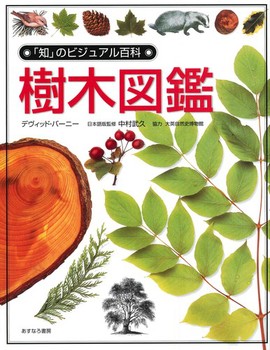 �u�m�v�̃r�W���A���S�� ���ؐ}��