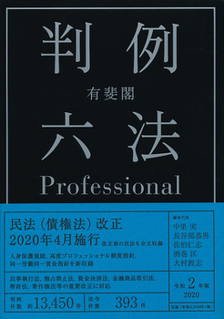 LtZ@Professional ߘa2N