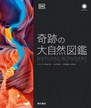 ��Ղ̑厩�R�}��