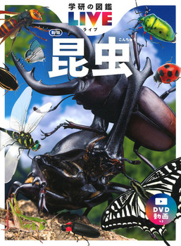w̐}LIVE  V 