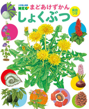 小学館の図鑑NEO まどあけずかん しょくぶつ 英語つき