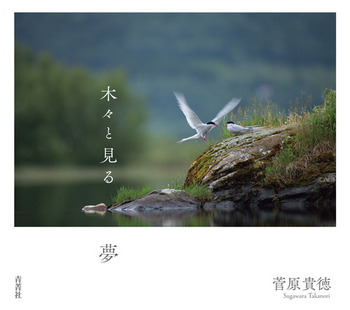 ؁X閲