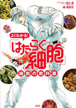 悭킩I u͂炭זEv זE̋ȏ
