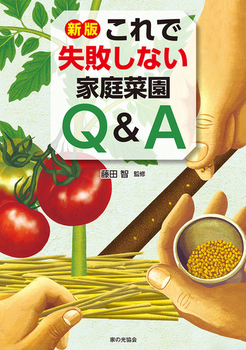 V ŎsȂƒ؉QampGA