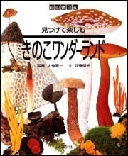 見つけて楽しむきのこワンダーランド