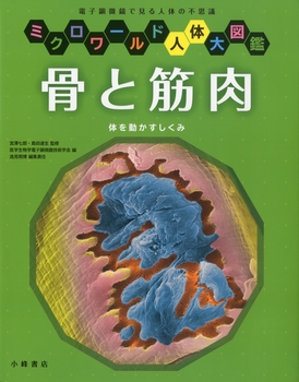 �~�N�����[���h�l�̑�}�� ���Ƌؓ�