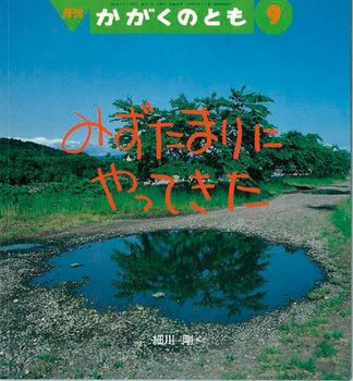 みずたまりにやってきた