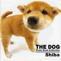 THE DOG Shiba