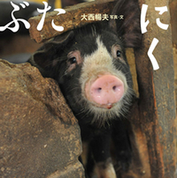 ぶたにく