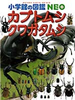 小学館の図鑑NEO カブトムシ・クワガタムシ