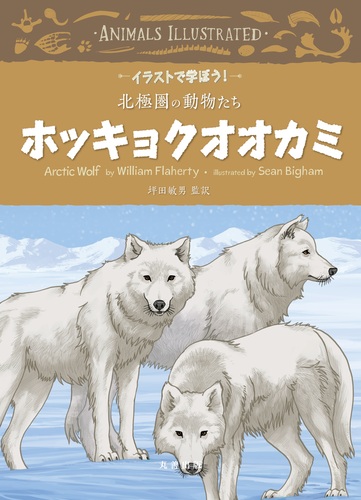 イラストで学ぼう 北極圏の動物たち ホッキョクオオカミ 絵本ナビ 坪田 敏男 坪田 敏男 みんなの声 通販