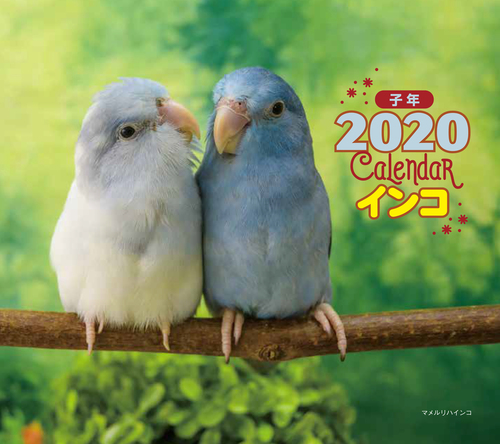 2020年 ミニ判カレンダー インコ|絵本ナビ : 大橋 和宏 みんなの声・通販