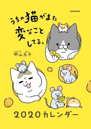うちの猫がまた変なことしてる。2020カレンダー | 卵山 玉子