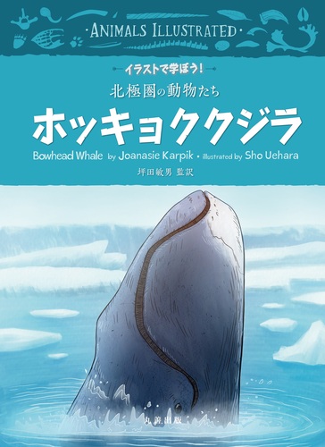 ホッキョククジラ 絵本ナビ 坪田 敏男 坪田 敏男 みんなの声 通販