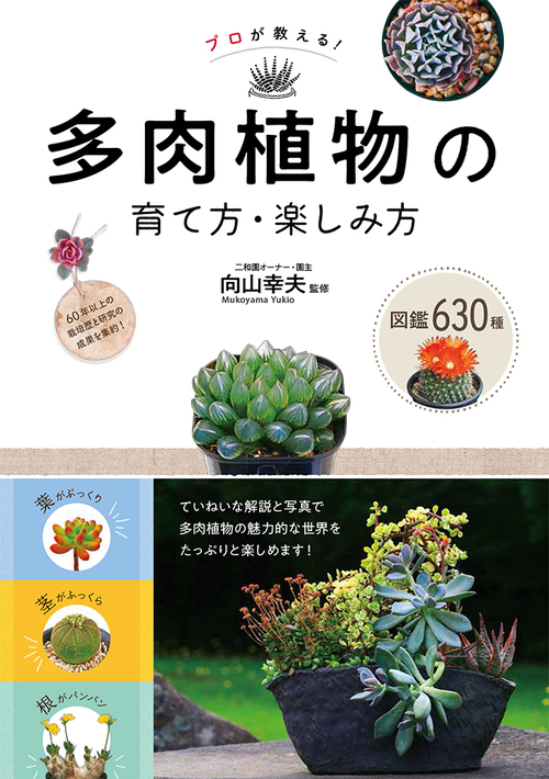 プロが教える 多肉植物の育て方 楽しみ方 図鑑630種 絵本ナビ 向山幸夫 みんなの声 通販