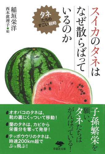 文庫 スイカのタネはなぜ散らばっているのか タネたちのすごい戦略 絵本ナビ 稲垣 栄洋 西本 眞理子 みんなの声 通販