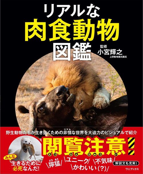 リアルな肉食動物図鑑 絵本ナビ 小宮 輝之 みんなの声 通販 リアルな肉食動物図鑑 絵本ナビ 小宮 輝之 みんなの声 通販