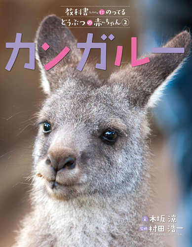テレビ名作まんが 南の虹のルーシー ②カンガルーの赤ちゃん 南の虹のル-シ- 2 (テレビ名作まんが) |本 | 通販 | Amazon
