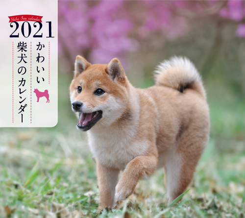21年 ミニ判カレンダー かわいい柴犬のカレンダー 絵本ナビ 井川 俊彦 みんなの声 通販
