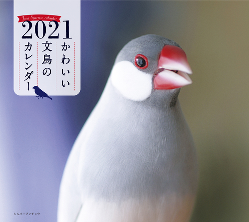 21年 ミニ判カレンダー かわいい文鳥のカレンダー 絵本ナビ 伊藤 美代子 みんなの声 通販