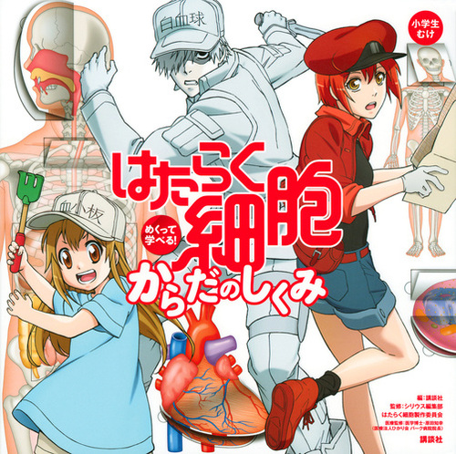 めくって学べる はたらく細胞 からだ図鑑 絵本ナビ 講談社 はたらく細胞製作委員会 シリウス編集部 みんなの声 通販