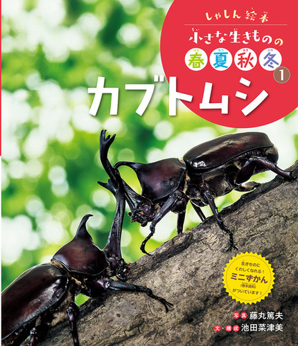 Amazon.co.jp: 季節の手作りジャムの本 (タツミムック) : 渡部