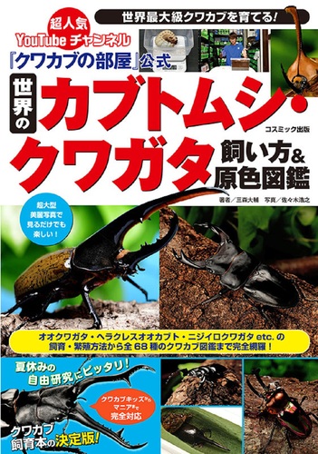 クワカブの部屋」公式 世界のカブトムシ・クワガタ飼い方＆原色