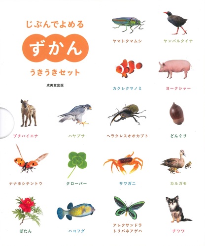 【全て新品未開封】じぶんでよめるずかんシリーズ　12冊セット　図鑑 Amazon.co.jp: じぶんでよめるずかん はじめてセット : 成美堂