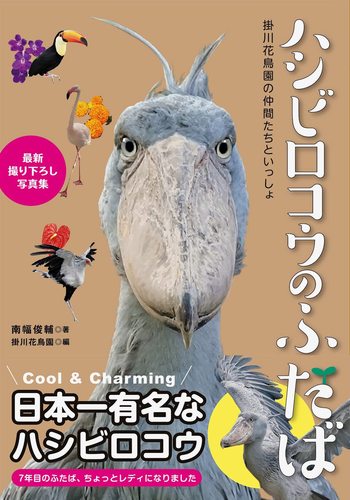 ハシビロコウのふたば | 南幅俊輔,掛川花鳥園 | 絵本ナビ