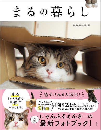 別冊ねこぷに ウチのねこ事情 ぬくぬく猫号 (MDコミックス) 別冊ねこぷに 本当にあったウチねこ話 ふくふくネコ号: MD