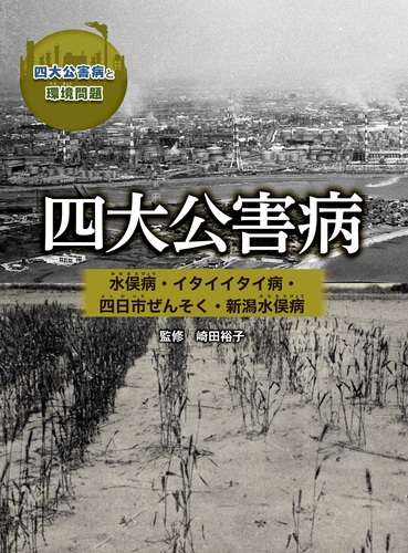 水俣病研究 ４（２００６）/弦書房/水俣病研究会（大型本） なぜ水俣病は解決できないのか | 図書出版 弦書房