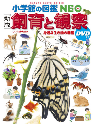学研 世界の昆虫DVD未開封1枚、小学館図鑑NEO、図鑑ムーヴDVDのみ 計7枚 小学館の図鑑NEO［新版］飼育と観察 DVDつき 身近な生き物の図鑑