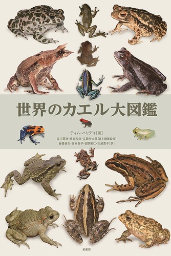 レア！アブリール大図鑑！中山蛙著。 中山蛙の本おすすめ