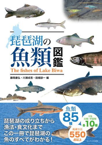 琵琶湖の魚類図鑑 | 藤岡 康弘,川瀬 成吾,田畑 諒一 | 絵本ナビ