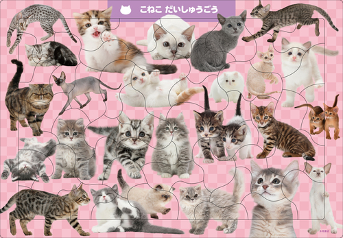C07 こねこ だいしゅうごう 50ピース | 福田 豊文,池谷裕二