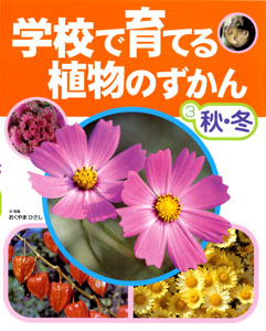 学校で育てる植物のずかん 秋 冬 絵本ナビ おくやま ひさし おくやま ひさし みんなの声 通販