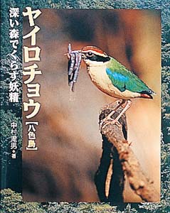 ブランドのギフト 地球ふしぎはっけん（3） 深い森でくらす妖精 ヤイロチョウ 語学・辞書・学習参考書