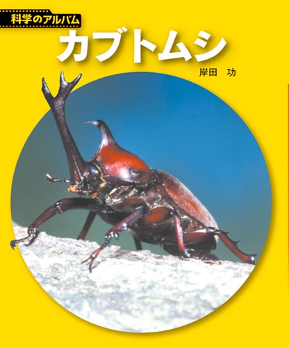 新装版 科学のアルバム カブトムシ 絵本ナビ 岸田 功 みんなの声 通販