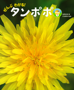 ぜんぶわかる タンポポ 絵本ナビ 岩間 史朗 芝池 博幸 みんなの声 通販