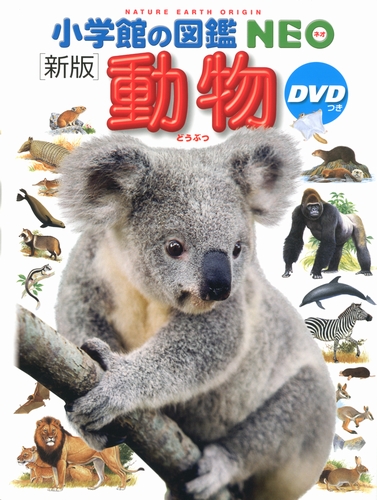 新版 小学館の図鑑NEO 動物 DVDつき | | 数ページ読める | 動画あり 