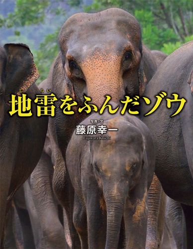 地雷をふんだゾウ 絵本ナビ 藤原 幸一 みんなの声 通販