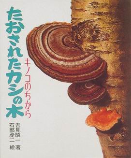 『虫をたおすキノコ』吉見昭一 著 子ども科学図書館 ムシに生えたきのこ 冬虫夏草 たおされたカシの木 キノコのちから | 吉見 昭一,石部 虎二