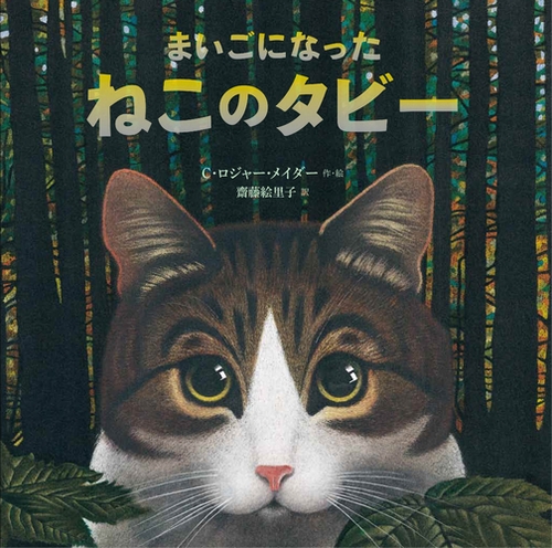 まいごになったねこのタビー | C・ロジャー・メイダー,C