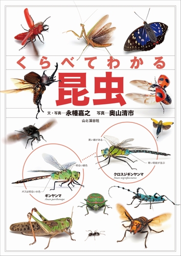 くらべてわかる昆虫 | 永幡 嘉之,永幡 嘉之,奥山 清市 | 絵本