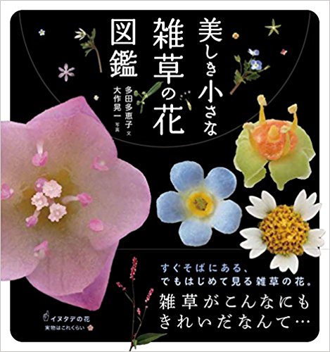 美しき小さな雑草の花図鑑 絵本ナビ 多田 多恵子 大作 晃一 みんなの声 通販