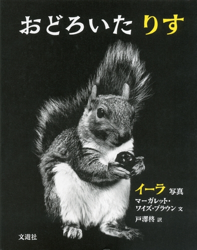 おどろいた りす 絵本ナビ イーラ マーガレット ワイズ ブラウン 戸澤 柊 みんなの声 通販