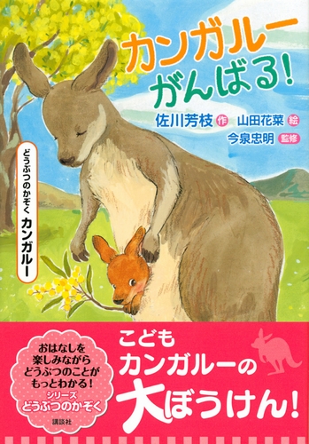 どうぶつのかぞく カンガルー カンガルーがんばる 絵本ナビ 佐川 芳枝 山田花菜 今泉 忠明 みんなの声 通販