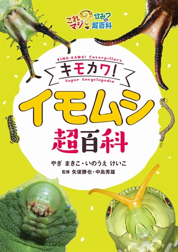 キモカワ イモムシ超百科 絵本ナビ やぎ まきこ いのうえ けいこ 矢後 勝也 中島 秀雄 みんなの声 通販