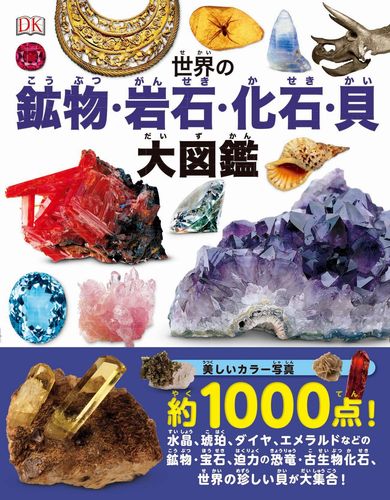 世界の鉱物 岩石 化石 貝 大図鑑 絵本ナビ みんなの声 通販